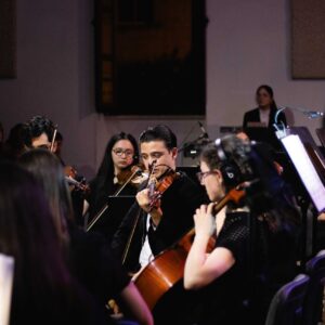 Photo-15